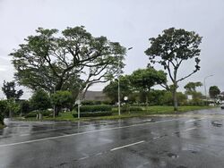 Springleaf Garden (D26), Semi-Detached #449820941